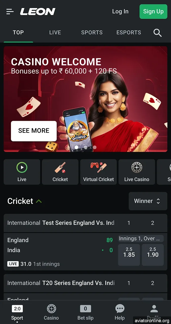 The interface of the Leon mobile application.