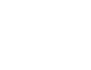10cric logo.